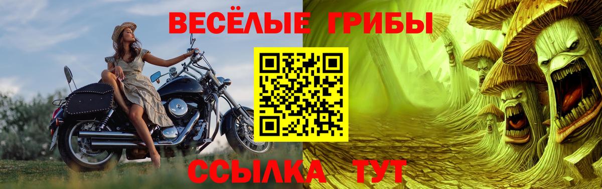 Славгород  Псилоцибиновые грибы GOLDEN TEACHER  Вход с VPN 